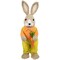 Northlight Standing Boy Rabbit with Carrot Easter Figure - 16" - Orange and Green